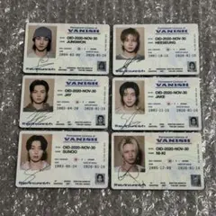 THE SIN：VANISH FUGITIVES Ver IDCARD 6枚