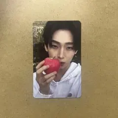 ENHYPEN 『THE SIN : VANISH』トレカ ソヌ