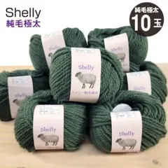シェリー 純毛極太 ウール100％【元廣】col.3018（Mグリーン）－10玉