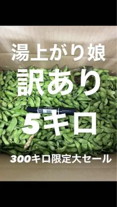 #43 300キロ限定大セール　訳あり品 枝豆 湯上がり娘　5キロ　有機肥料のサムネイル