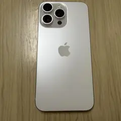 iPhone15promax (シャッター音無し)94%