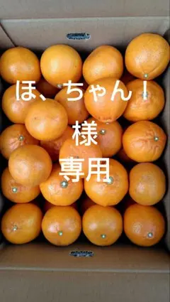 せとか10㎏(家庭用)ほ、ちゃん！様専用#2