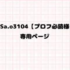 Sa.o3104【プロフ必読様専用ページ ネイルパーツ