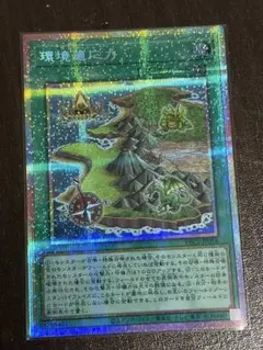 遊戯王 環境適応力 プリズマティックシークレットレア