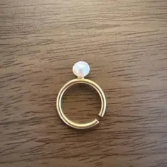 Item thumbnail for item 3d2f8eb7-f5a9-4def-9779-bde1f5c2525c