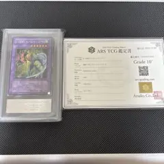 世界に2枚】遊戯王 貪欲な壺 4期 レリーフ ars10＋ 鑑定書付 - メルカリ
