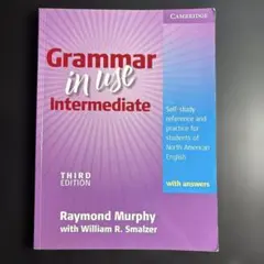 grammer in use intermediate