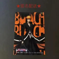 BLEACH ブリーチ 巻頭歌骨牌 25巻 60巻 黒崎一護 黒崎真咲 - メルカリ