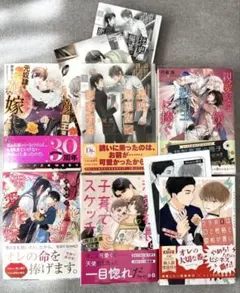 BL小説 文庫本 6冊セット