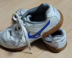 Mizuno メッシュシューズ ホワイト/ブルー　22.5cm