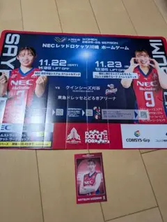 necレッドロケッツ スポーツ選手