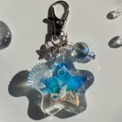 ❨No.44❩ 海塗り星型 ミニシェイカー　オイル入り