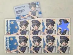 ゆあん からぴちエクスプレス カード 特典 切符風カード カラフル