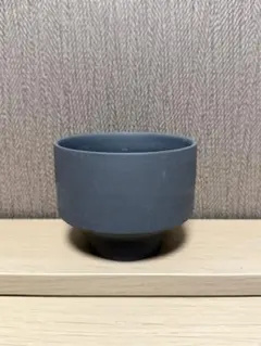 2025年最新】spicygem 鉢の人気アイテム - メルカリ