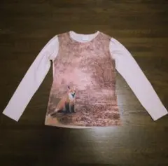 Zara Girls キツネ長袖カットソー 　140