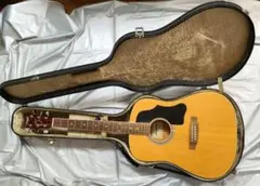 2025年最新】ARIA アコースティックギターの人気アイテム - メルカリ