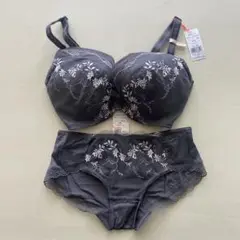 トリンプ　刺繍入りブラジャー(F75)ショーツ(Ｍサイズ)セット グレー