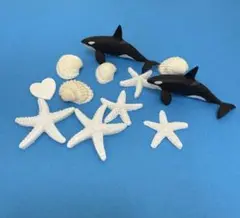 シャチフィギュア 2体セット 貝殻ヒトデ付き
