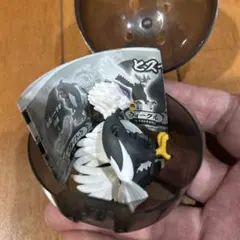 【新品未使用品】ポケットモンスター　ヒスイいっぱいコレクション　ウォーグル