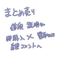 シクフォ二 缶バッジ チェキ 等
