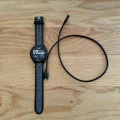 GARMIN Forerunner 165 本体