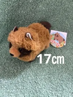 たぬぽんぽん ST ぬいぐるみ 全4種　コンプリート　17センチ たぬぽんぽん ST ぬいぐるみ 全4種 コンプリート 17センチ - メルカリ