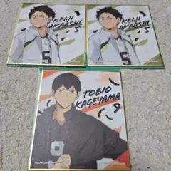 ハイキュー！！ 一番くじ 孤爪研磨 黒尾鉄朗 色紙