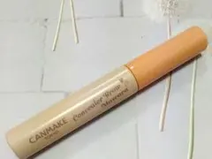 キャンメイク　CANMAKE　コンシーラーブロウマスカラ02のサムネイル