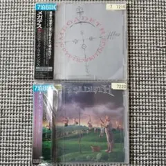 Megadeth　Cryptic Writings　Youthanasia　2枚
