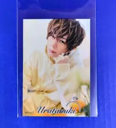 2026年最新】うらたぬきチェキの人気アイテム - メルカリ