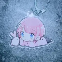 けちゃ アクキー