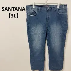 SANTANA ストレート デニムパンツ 【3L】 ブルー カジュアル 日常