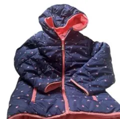 Item thumbnail for item 2e494c37-b36b-49a3-a0fe-f2fabd546dbd