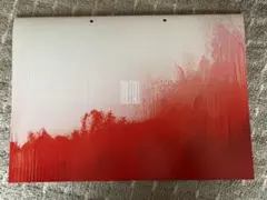 【新品】落下の王国　パンフレット