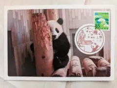 Item thumbnail for item f581cb2e-121d-4a42-a364-f730e2474491