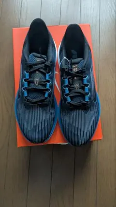 NIKE AIR WINFLO 9
