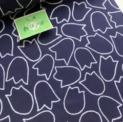 Item thumbnail for item 2af2de27-8b8f-4212-9ac2-5e707245b034