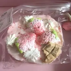 み*♡様 海外スクイーズ　白いちごケーキ