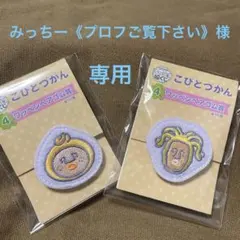 みっちー《プロフご覧下さい》様 リクエスト 2点 まとめ商品