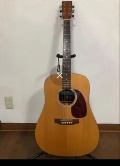 2025年最新】FISHMAN NEO-Dの人気アイテム - メルカリ