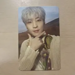 seventeen face the sun ウォヌ トレカ