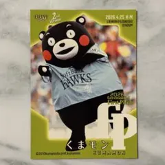始球式カード BBM 2026 くまモン