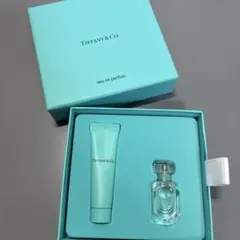 TIFFANY & Co.] ティファニー シルバージュエリー ケアキット - メルカリ