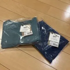 2点セット パタゴニア キャプリーン クールデイリーシャツ 長袖 半袖