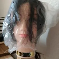 Item thumbnail for item d658852f-c0cd-4ad1-96f6-ac7fc5ec23f8