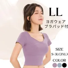 半袖　ブラトップ　LL　XL　パープル　紫　カップ付き　ヨガウェア　フィットネス