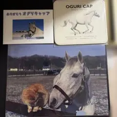オグリキャップ マウスパッド クリアファイル　ポストカードのサムネイル