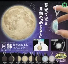 月齢　目印アクセサリー