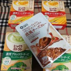 じっくりコトコト濃厚ポタージュ４箱☆ 欧風チーズカレーのサムネイル
