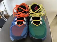 NIKE ズームフリーク1 マルチカラー　レア！